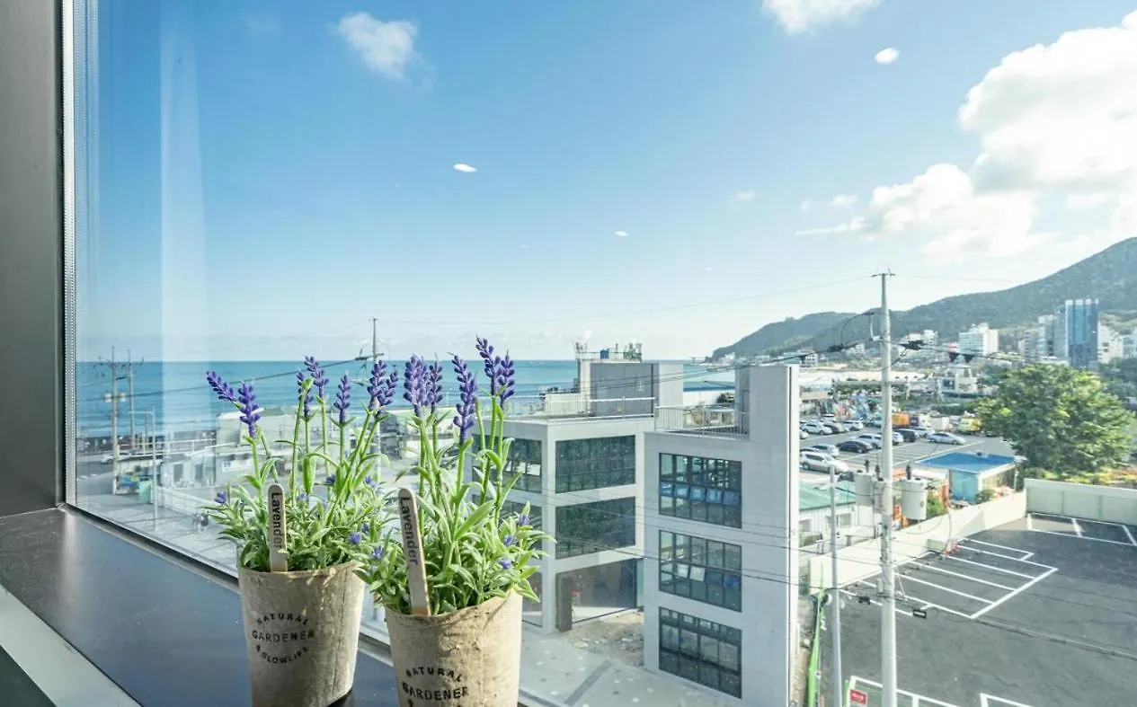 Songjeong Blue Castle Hotel Busan South Korea